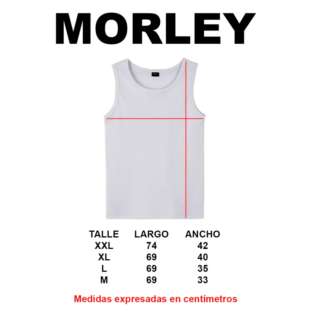TALLES MORLEY.webp
